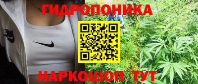 прущий лед Будённовск